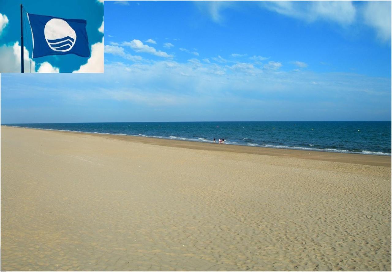Apartamento Cerca Del Mar Oliva Ngoại thất bức ảnh